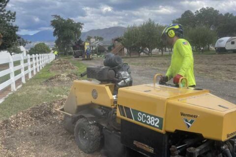 What is the process of stump grinding? Salt Lake City, UT